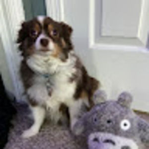 Meet your Posher, Cassidy